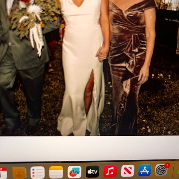 Alexandra Grecco Celia Wedding Gown Size 12 - Picture 7 of 9